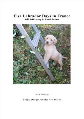 Elsa Labrador Days in France