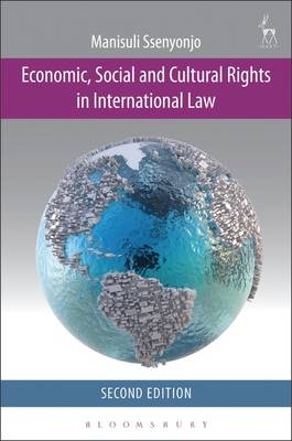 Economic, Social and Cultural Rights in International Law