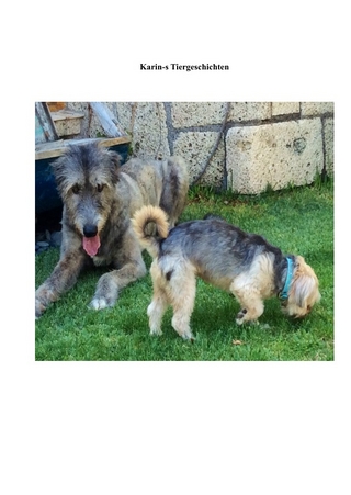Karin's Tiergeschichten