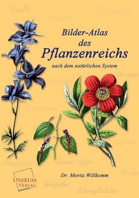 Bilder-Atlas des Pflanzenreichs - Moritz Willkomm