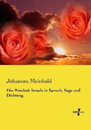 Die Weisheit Israels in Spruch, Sage und Dichtung - Johannes Meinhold