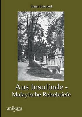 Aus Insulinde