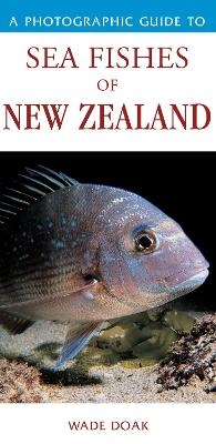 Photographic Guide To Sea Fishes Of New Zealand - Doak Wade