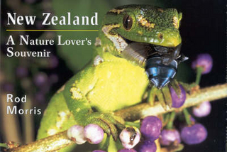 New Zealand: a Nature Lover'S