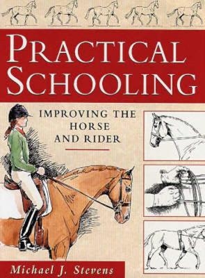 Practical Schooling - Michael J. Stevens