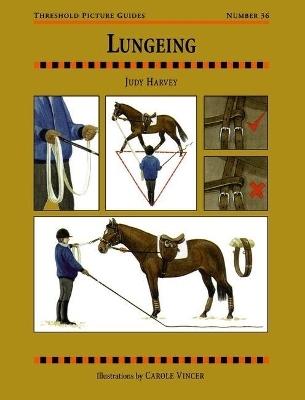 Lungeing - Judy Harvey