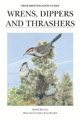 Wrens, Dippers and Thrashers - David Brewer