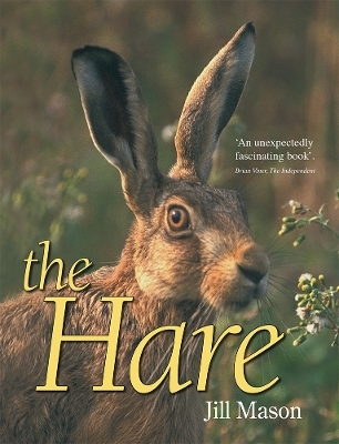 The Hare - Jill Mason