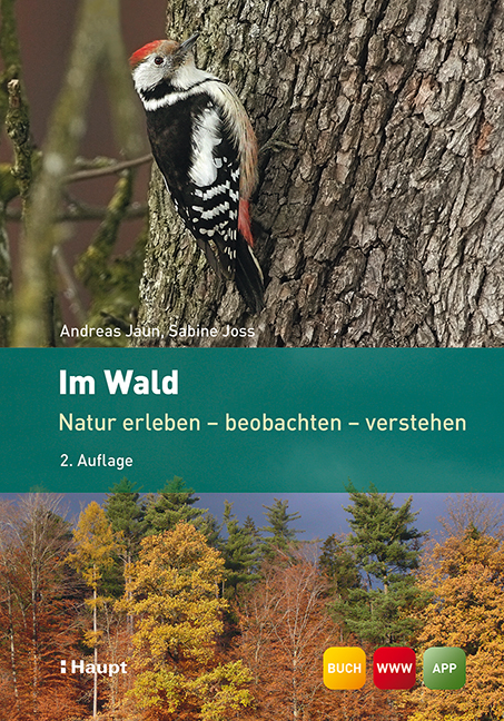 Im Wald - Andreas Jaun, Sabine Joss