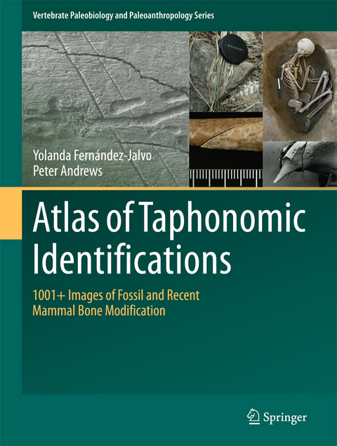 Atlas of Taphonomic Identifications - Yolanda Fernandez-Jalvo, Peter Andrews