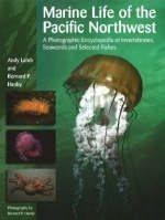 Marine Life of the Pacific Northwest