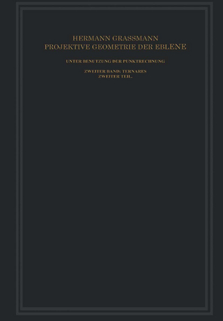 Projektive Geometrie der Ebene Unter Benutzung der Punktrechnung Dargestellt