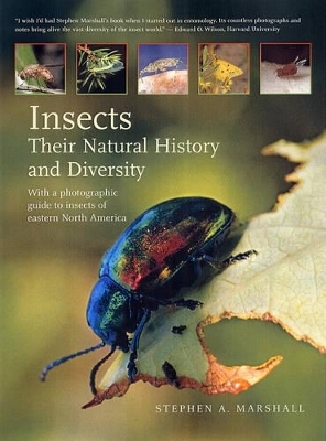 Insects: Their Natural History and Diversity - Stephen A. Marshall