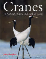 Cranes - Janice Hughes