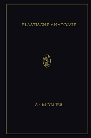 Plastische Anatomie