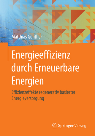 Energieeffizienz durch Erneuerbare Energien