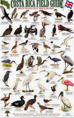 Birds of the Pacific Coast and the Tropical Dry Forest