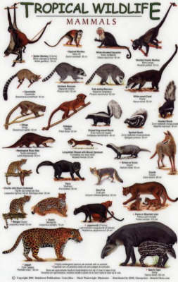 Mammals