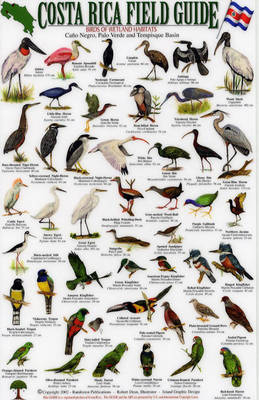 Birds of Wetland Habitats