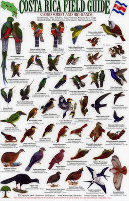 Birds of the Cloud Forest and Highlands - Mark Wainwright