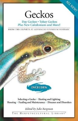 Geckos - 