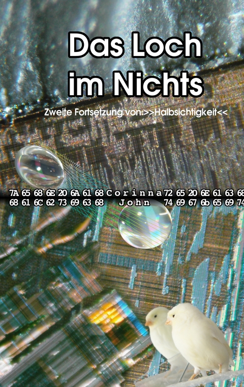 Das Loch im Nichts - Corinna John