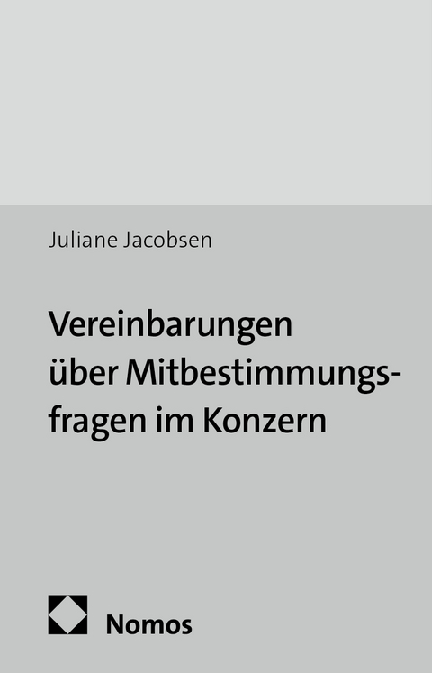 Vereinbarungen &uuml;ber Mitbestimmungsfragen im Konzern - Juliane Jacobsen