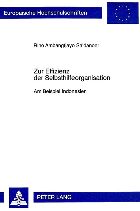 Zur Effizienz der Selbsthilfeorganisation - Rino Sa danoer