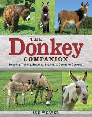 Donkey Companion - Sue Weaver