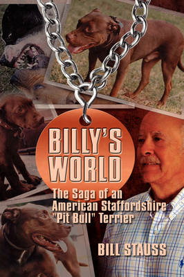 Billy's World - Bill Stauss
