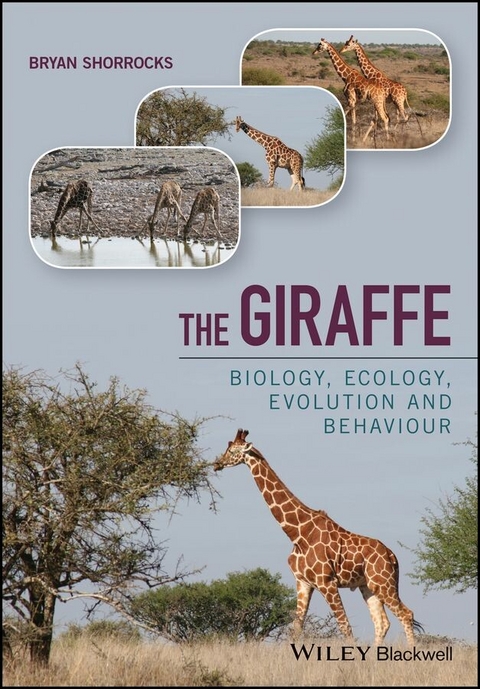 Giraffe -  Bryan Shorrocks