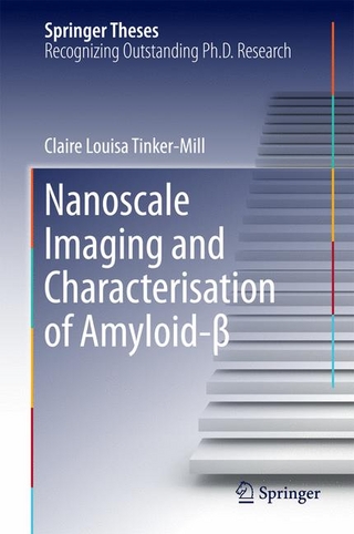 Nanoscale Imaging and Characterisation of Amyloid-β