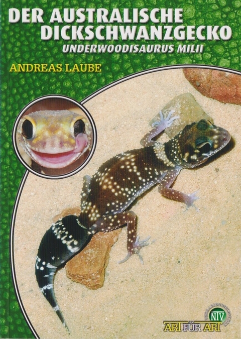 Der Australische Dickschwanzgecko - Andreas Laube