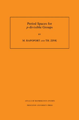 Period Spaces for p-divisible Groups