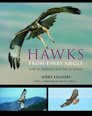 Hawks from Every Angle