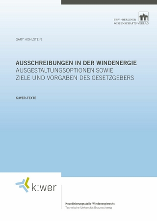 Ausschreibungen in der Windenergie
