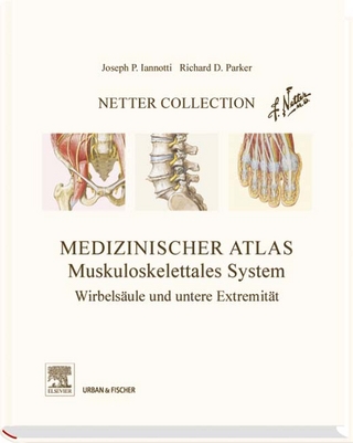 Netter Collection  Muskuloskelettales System Band 2