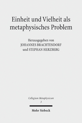 Einheit und Vielheit als metaphysisches Problem
