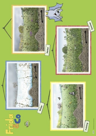 Frida & Co 1/2 Poster