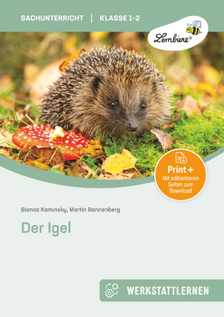 Der Igel