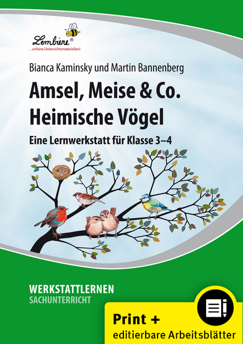 Amsel, Meise & Co: Heimische V&ouml;gel - B. Kaminsky, M. Bannenberg