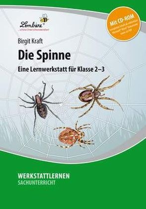 Die Spinne - alt, m. 1 CD-ROM