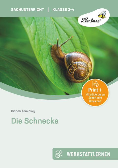 Die Schnecke - Bianca Kaminsky