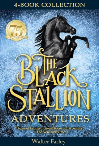 Black Stallion Adventures