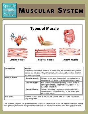 Muscular System (Speedy Study Guide) -  Speedy Publishing LLC