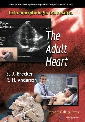 Echo-Morphologic Correlates
