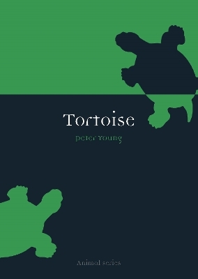Tortoise - Peter Young