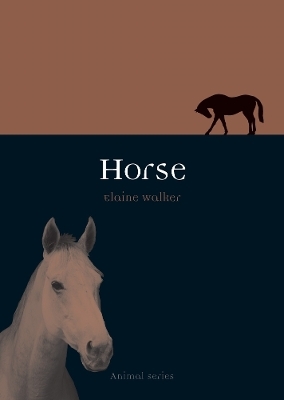 Horse - Elaine Walker