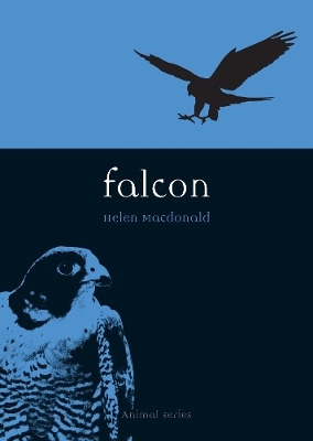 Falcon - Helen Macdonald