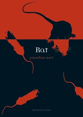 Rat - Jonathan Burt